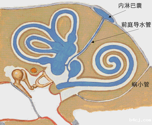 1590629773524284.png 图片1.png