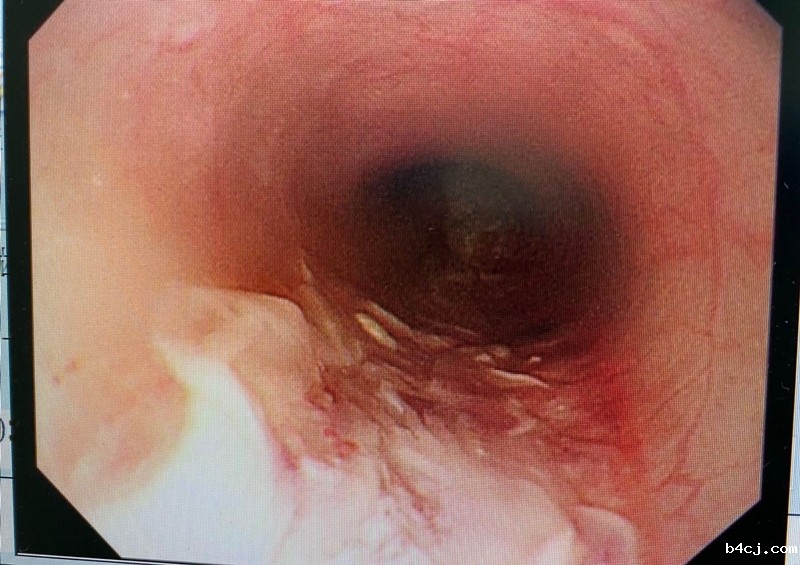 1623998240208828.jpg 图片1.jpg