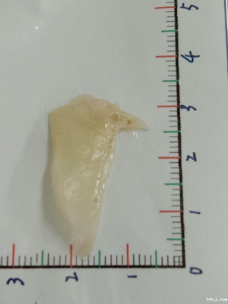 1630024895557268.png 图片1.png