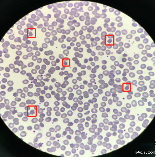 1592875136869705.png 图片12.png